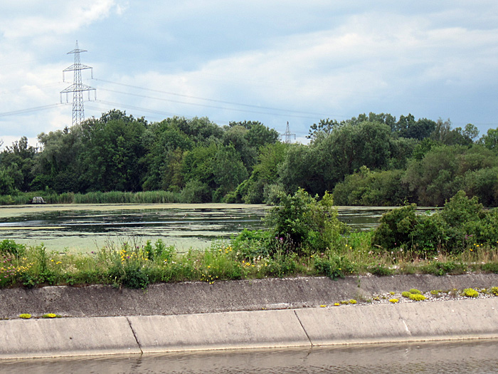 Ismaning Fischteiche Juni 2011