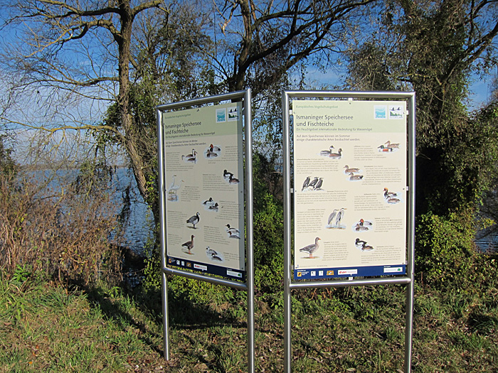 Ismaninger Speichersee Birding mit Waltraud Hofbauer