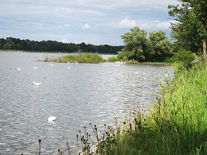 Echinger Stausee