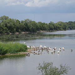 Ismaninger Speichersee