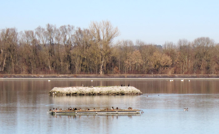 Echinger Stausee