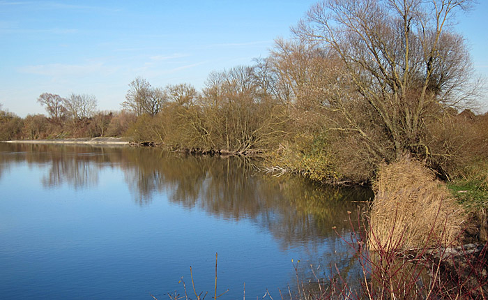 Ismaninger Speichersee Nov 2010