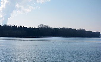 Donau-Stausee bei Lauingen Febr 11