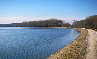 Donau-Stausee Lauingen Febr 11