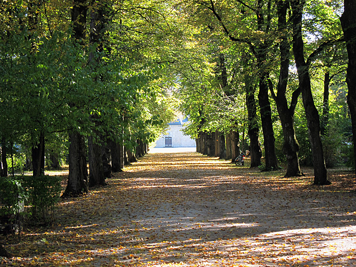 Perlacher Friedhof, Oktober 2011