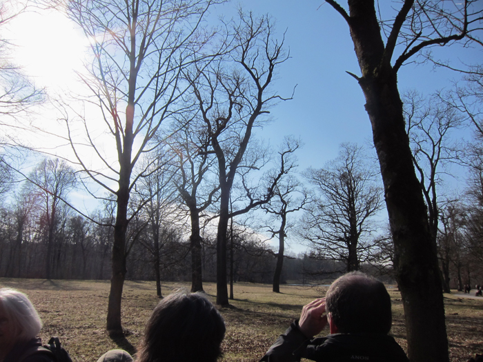 Nymphenburger Schlosspark, März 2012