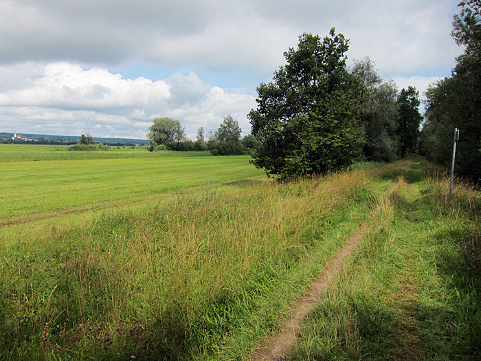 dammweg, august 2012