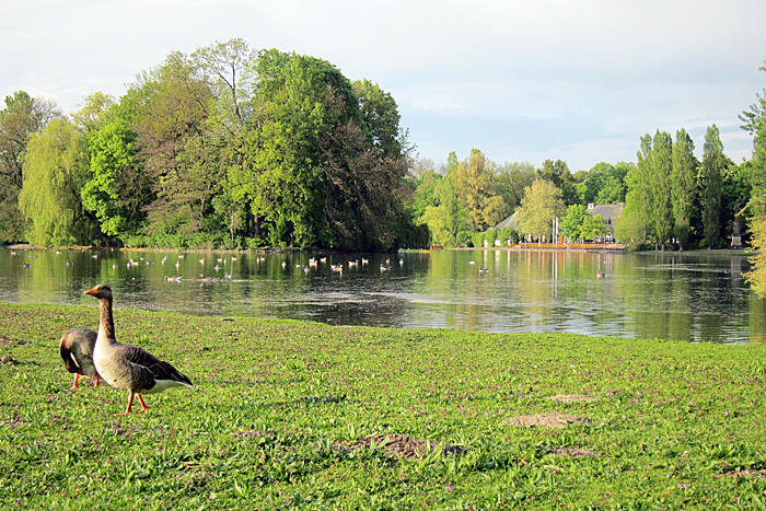 kleinhesseloher see