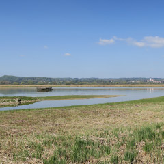 Vogelfreistätte Ammersee-Südufer