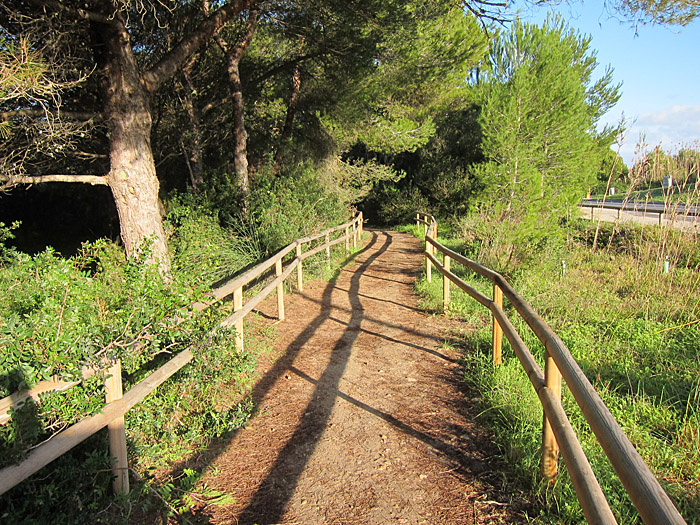 albufera_weg_von_parkplatz_dez12_0043