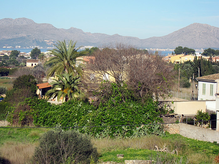 alcúdia Mallorca