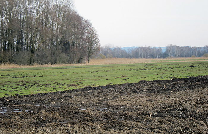 unterwattenbacher-moos2_maerz13_0493