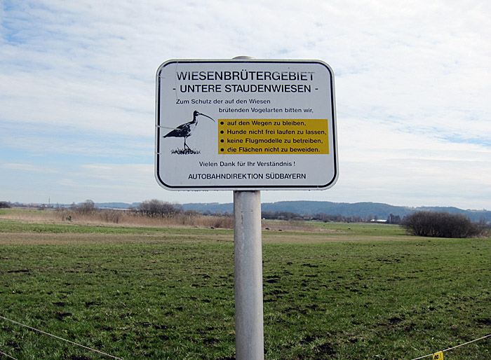 wiesenbruetergebiet_april13_0196