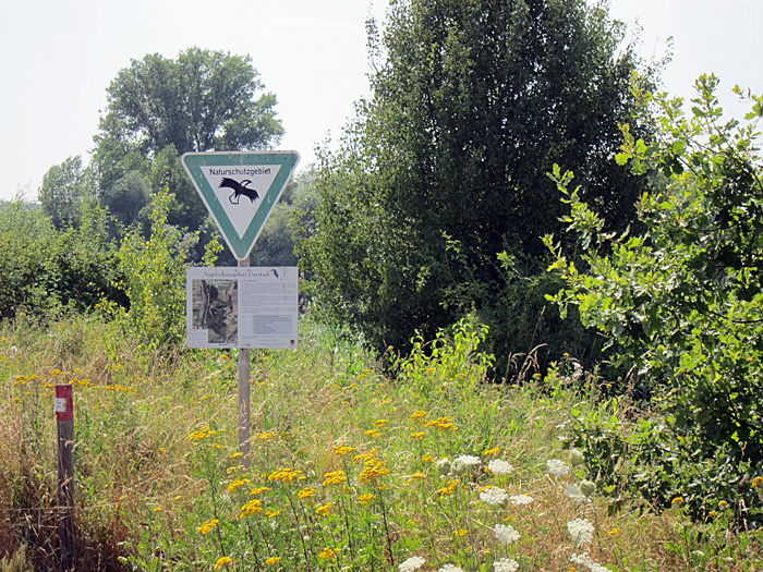 vogelschutzgebiet_garstadt_juli2013_0144