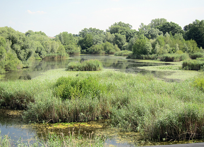 vogelschutzgebiet_garstadt_juli2013_0152