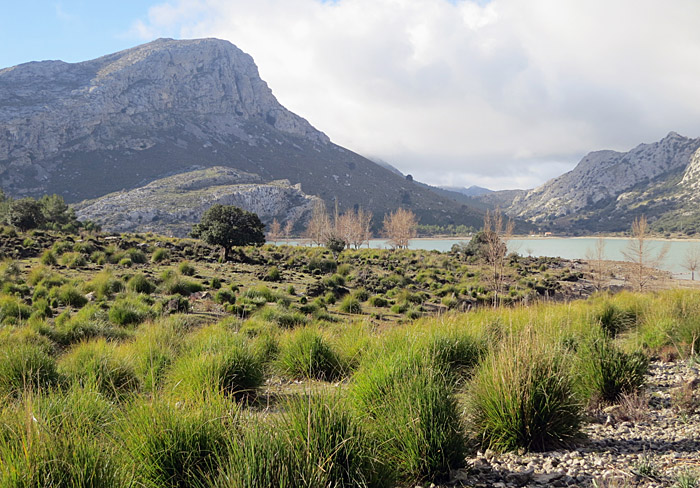 01_cuber_stausee_mallorca_dez13_3318