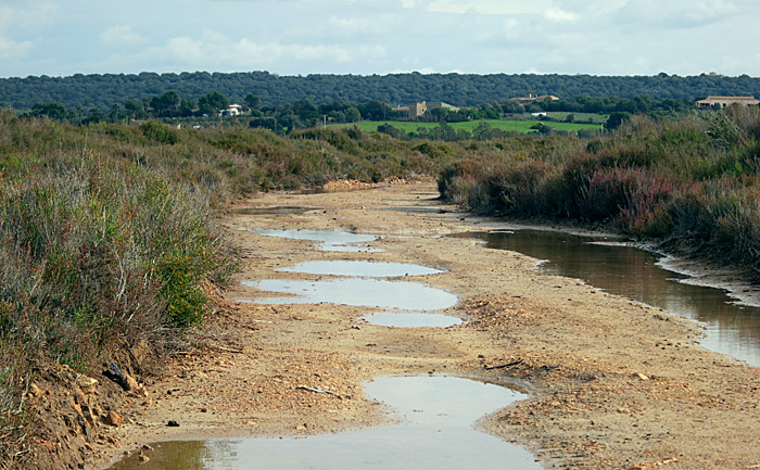 01d_weg_es-salobrar_mallorca_dez13_3879