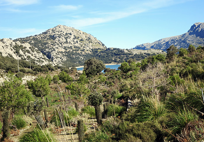 09_wanderweg_tramuntana_dez13_3385