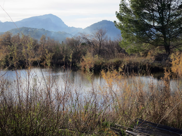 10_albufereta_mallorca_dez13_3486