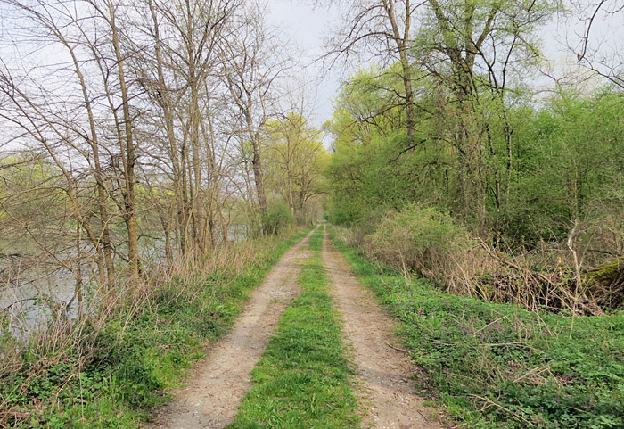 donau_b-bertoldsheim2_2014-04-06_3233