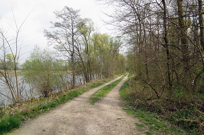 donau_b_bertoldsheim_2014-04-06_3110