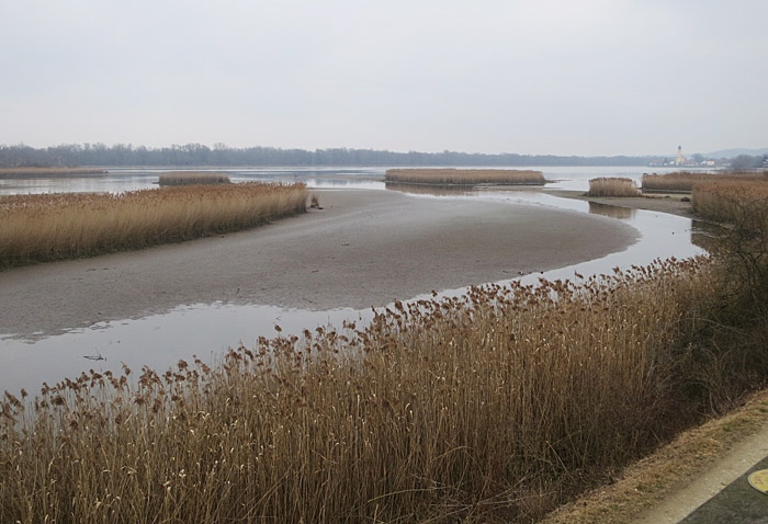 echinger_stausee_2014-03-04_0202