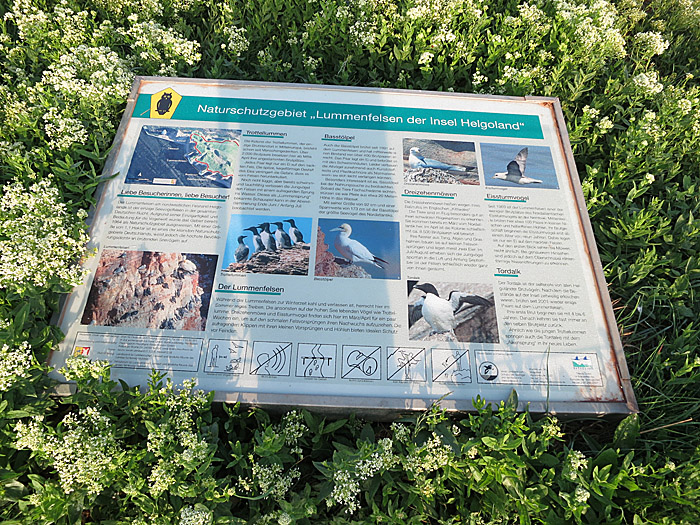 05_infotafel_lummenfelsen_2014-05-25_7307