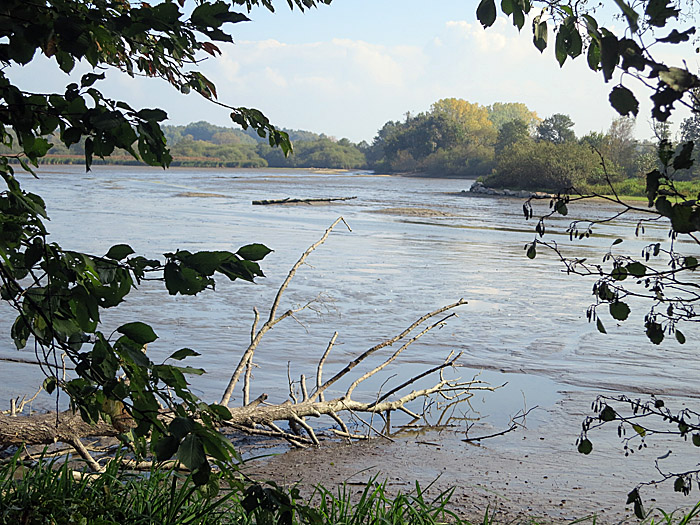 abgelassener_roetelseeweiher_cham_okt14_2916