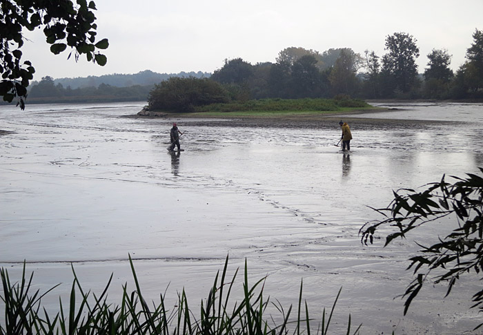 grosse_roetelseeweiher_cham_okt_2014_2834