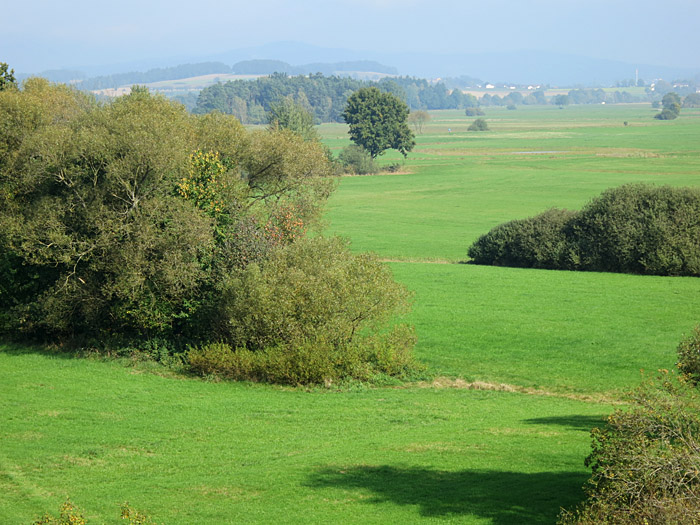 naturschutzgebiet_regentalaue_cham_okt14_2888