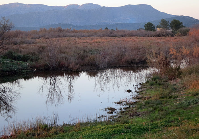 albufereta_mallorca_jan2015_1489