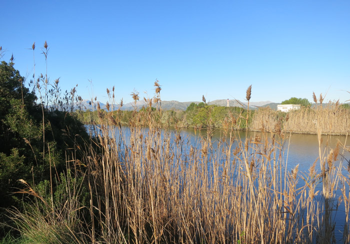 01_gran-canal_albufera_mallorca_jan15_2187