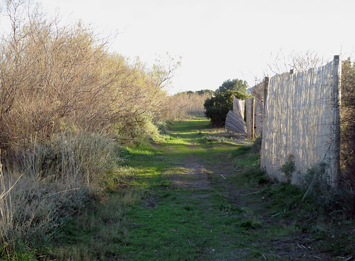 04_can_cullerassa_albufereta_dez12_3533