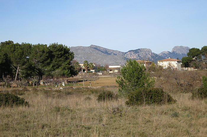 07_albufereta_mallorca_jan14_4374