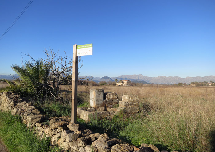 08_sa-barcassa_albufereta_mallorca_jan15_1493