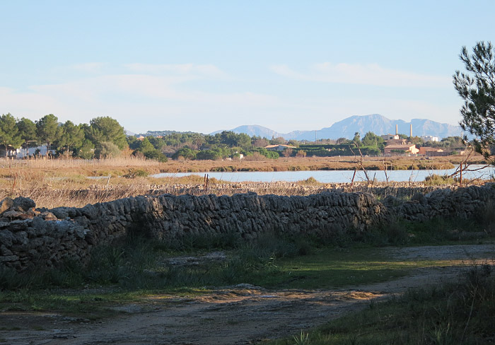10_sa-barcassa_albufereta_mallorca_jan14_4408