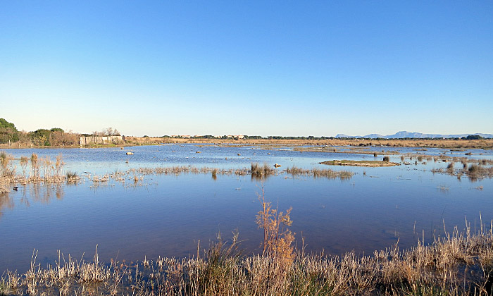 14_sa-roca_albufera_mallorca_jan15_2455