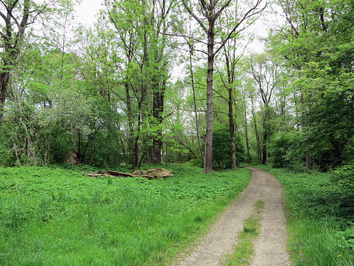 02_isarauen_freising_2015-05-09_0430