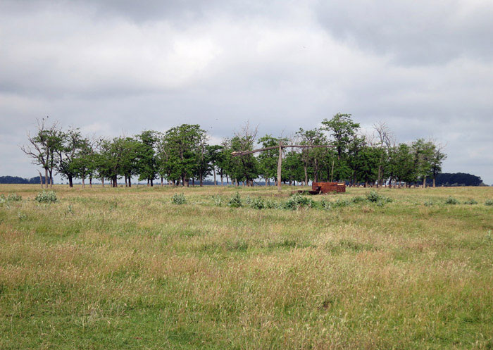 02_puszta_ungarn_hortobagy_2015-05_26_4619