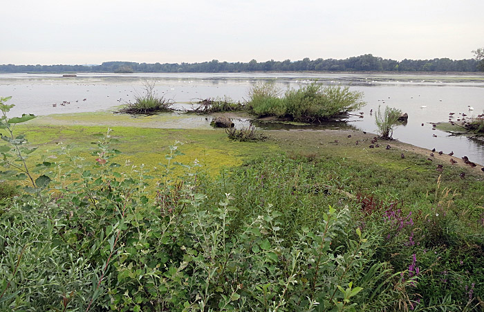 01_echinger_stausee_2015-08-02_1505