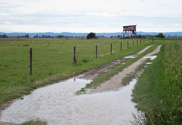 01_beobachtungshuette_graurindekoppel_2016-05-24_9159