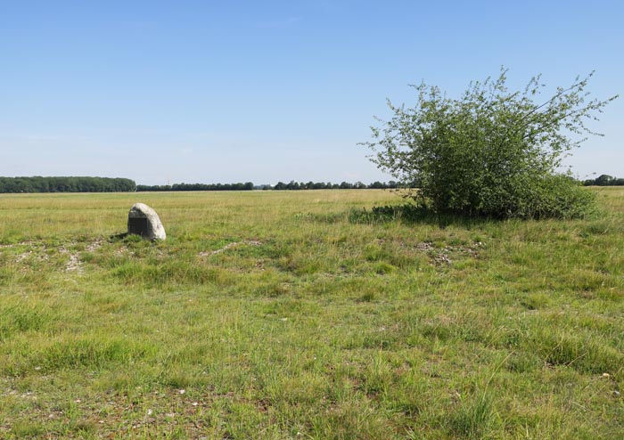 02_garchinger-heide_2016-08-14_5068