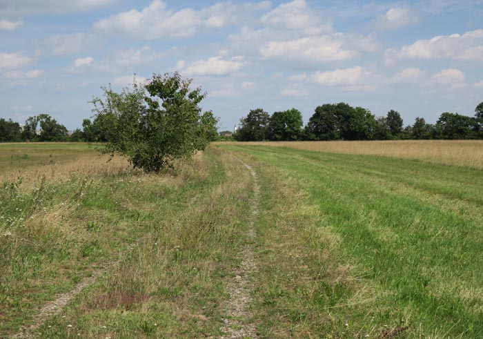 03_garchinger-heide_2016-08-14_5192