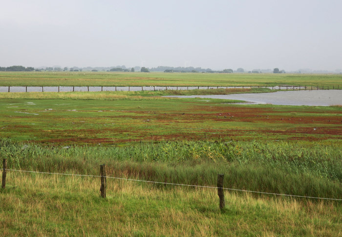 01_woehrdener-loch_2016-09-04_5508