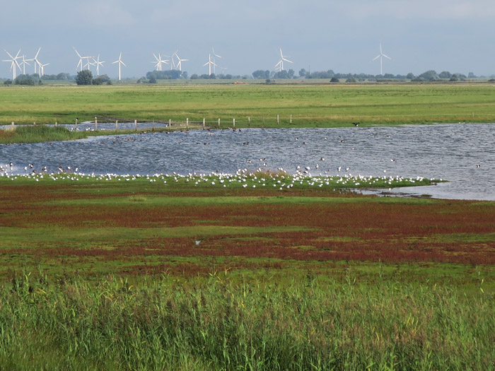 05_woehrdener-loch_2016-09-04_5742