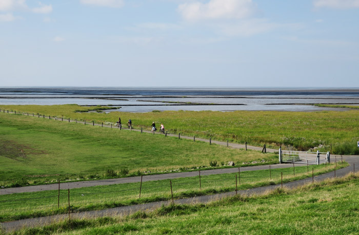 09_nordsee_hallig_helmsand_sept2016_6202