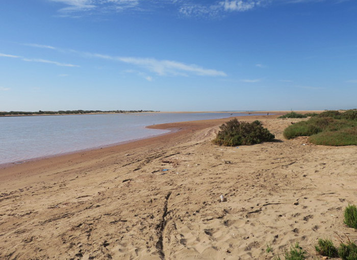 14_flussmuendung_sous_agadir_marokko_jan2017_2607