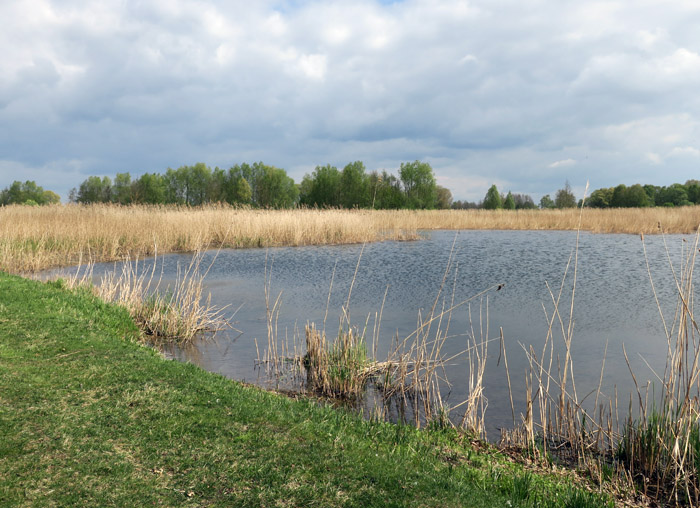 09_vogelfreistaette_eittingerweiher_2017-04-23_5119