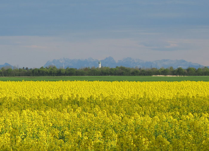 14_blick_nach_sueden_ismaninger_2017-05-06_5776