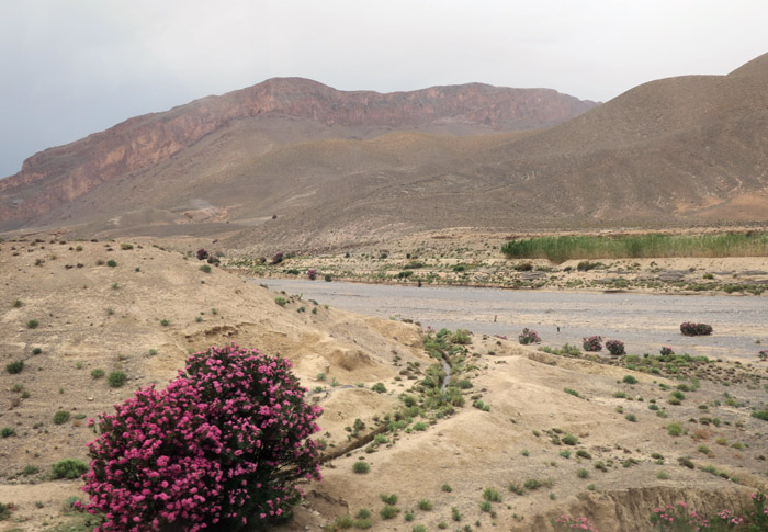 51_morocco_may17_6783